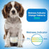 48 Counts Pet Soft Disposable Male Dog Wraps - Dog Diapers for Male Dogs, Puppy Diapers with Wetness Indicator XSmall