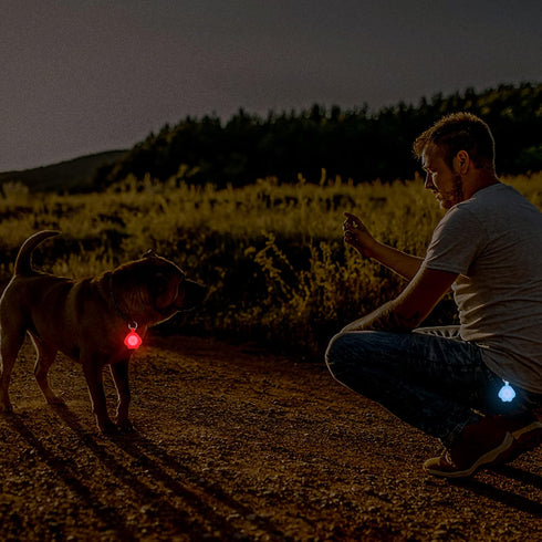 2-Pack Dog Light with USB Rechargeable, Color Changing Dog Collar Light,IP67 Waterproof LED Dog Safety Lights for Night Walking Attach to Collar, Leash or Harness,Safety light for Running ,Camping or Bike