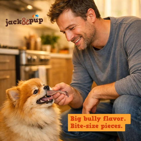 10 oz Jack&Pup Bully Stick Bites- - Small Dog Treats for Medium & Small Dogs, All Natural, Beef Pizzle Single