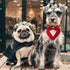 Dog Wedding Bandana, Adjustable Formal Tuxedo Collar with Bow for Small, Medium, and Large Dogs, Birthday Gifts (Large,