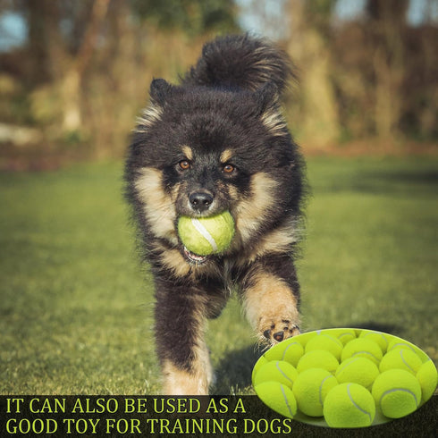 Swingers Tennis Balls,Training Exercise Balls for Pet Dog, High Elasticity Practice Tennis Balls for Beginner