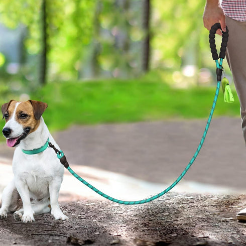 Dynmeow Reflective Dog Collar and Leash Set, 6FT Strong Climbing Rope Leash with Adjustable Pet Collar (Teal, XS)