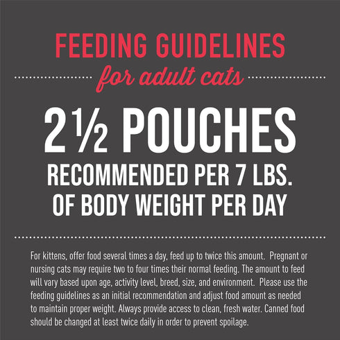 Tiki Cat Aloha Friends, Chicken, Pumpkin & Beef, Grain-Free Wet Cat Food for All Life Stages, 2.5 oz. Pouch (Pack of 12)
