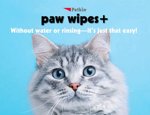 Paw Wipes Plus, 100 Orange Scented Wipes - Absorbent Pet Wipes for Dogs, Cats, Puppies & Kittens, Easy to Use
