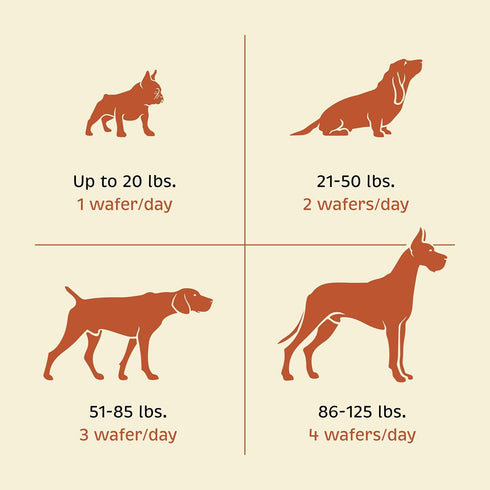 Health + Vitality for Dogs, Pet Supplement for Immune System, Coat, Liver Health & More - 90 Chewable Wafers