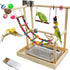 PINVNBY Bird Playground Parrot Playstand Play Gym Cockatiel Wood Bird Toys Birds