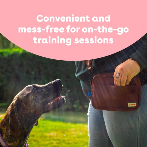 1400+ 4 oz, 3 Pack) Pupford Freeze Dried Training Treats for Dogs & Puppies, Two Ingredient Bites (Salmon