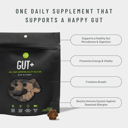 Gut+ Digestive Health Dog Supplement Chews, Chicken Flavor, 90 Soft Chews, Supports Digestion & Immunity
