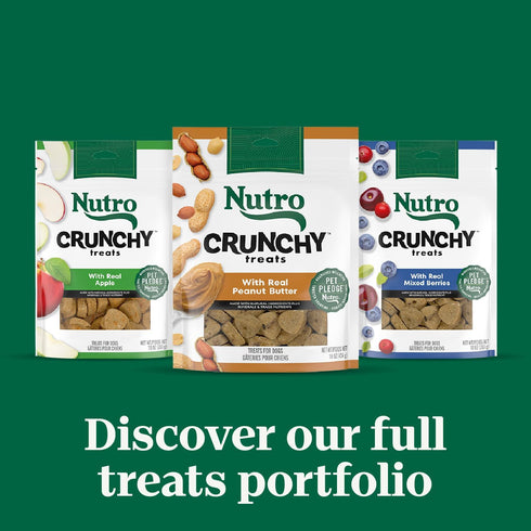 Nutro Crunchy Dog Treats, Real Peanut Butter, 16 oz Bag