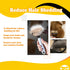 PetnBeyond Undercoat Rake - Double Sided Dematting Brush Tool for Cats and Dogs - Safe Detangler Grooming Brush