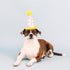 Fringe Studio Plush Dog Toy, Time to Celebrate, Pet Shop Collection (314225)