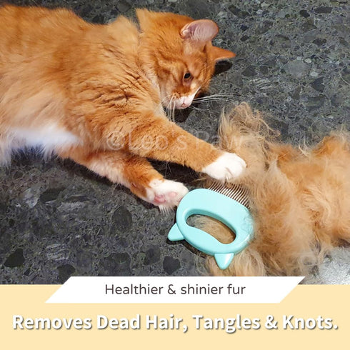 Leo's Paw The Original Soft Deshedding Brush, Massaging Shell Comb for Grooming Long and Short Hair Cat Dog Bunny (Mint)