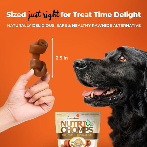 NutriChomps Dog Chews, 2.5-inch Knots, Rawhide-Free Treats, 8 Count, Real Peanut Butter