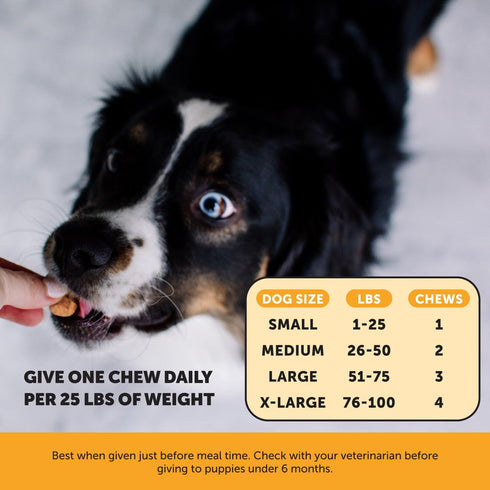 Virtual Bundle Allergy Support for Dogs + Dental Powder for Teeth Cleaning & Plaque Removal, Itch Relief, Skin & Coat