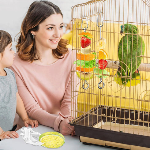 6 PCS Bird Treats Skewer, Parakeet Hanging Food Holder, Stainless Steel Fruit Vegetable Stick Holder, Cockatoo