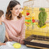 6 PCS Bird Treats Skewer, Parakeet Hanging Food Holder, Stainless Steel Fruit Vegetable Stick Holder, Cockatoo