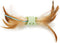 SmartyKat Flutter Roller Cat Toy, Feather & Ribbon Chase, One Size (Green)