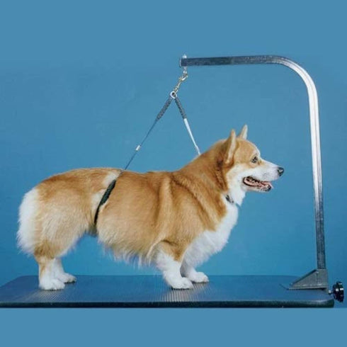 No Sit Haunch Holder Dog Grooming Restraint for Large Dogs (21" and 24") by Downtown Pet Supply