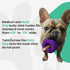 Medium Size Bully Stick Holder for Dogs - Interactive Dog Toy, Treat Dispenser, Slow Feeder, Chew Toy and Safety Device
