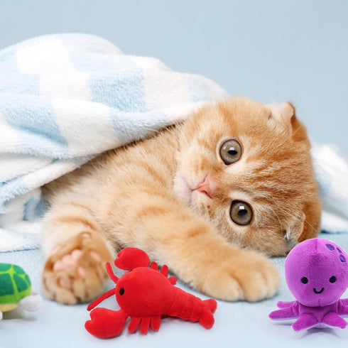 Catnip Toys for Indoor Cats - Interactive Chew Bite Kick Toys Set of 6 - Gifts for Cat Lovers - Lobster Octopus Crab