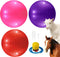 3 Pieces Pet Goat Ball Lamb Toy with Inflator Pump for Dog Training Exercise Ball for Outdoor Entertainment