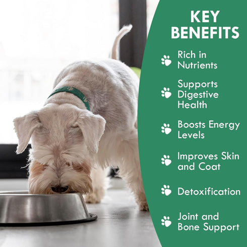 HOLISTIC BIN Canine Super Greens, Plant-Based Nutritional Dog Multivitamin for Skin, Coat, Bone & Digestive Health