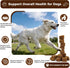 BevinMugford 170 Count Immune Turkey Tail Mushroom for Dogs, Mushroom Chews for Dogs, Chicken Flavor Mushroom