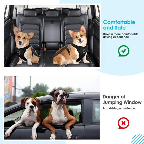 SlowTon Adjustable Dog Seat Belt - Double Dog Safety Leash with Elastic Bungee Buffer (Black, M)
