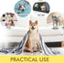 KinHwa Super Absorbent Dog Towel, Microfiber Drying Towel for Small, Medium, Large Dogs and Cats, 30inch x 50inch (1