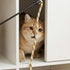 Xthrotsenk 3Pcs Cat Teaser Wand Cat Rope Toy Colorful Cats Rope Toy Interactive Kitten String Wands Ropes Toys