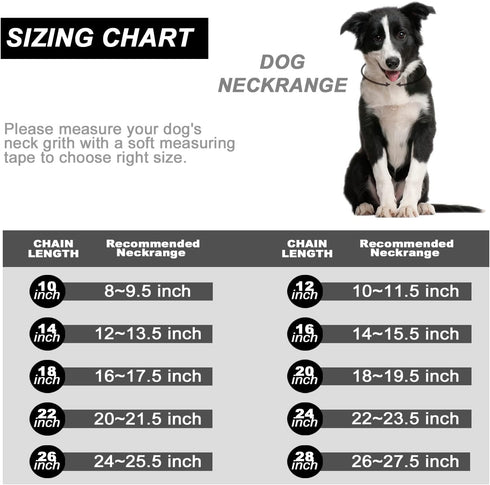 PRADOG Chain Dog Collar with Zirconia Locking 12mm High Polished Cuban Link Chain Metal Stainless Steel Luxury Dog