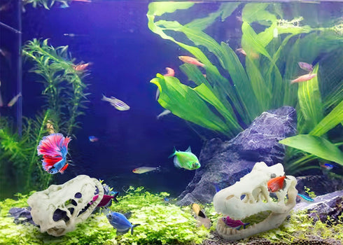 2Pcs Small Resin Dinosaur Skull Skeleton Aquarium Decoration, Fish Tank Cave for Reptile House