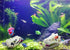 2Pcs Small Resin Dinosaur Skull Skeleton Aquarium Decoration, Fish Tank Cave for Reptile House