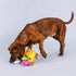 Fringe Studio Plush Dog Toy Set, Interactive Hide and Seek Play, Into The Deep, Pet Shop Collection