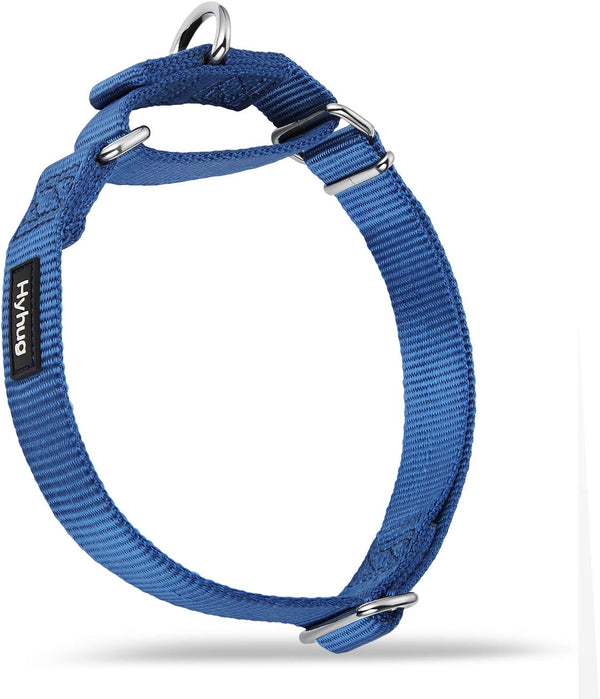 Hyhug Pets Heavy Duty Nylon Anti-escape Martingale Collar - Comfy & Safe for Boy and Girl Dogs (Large, Classic Blue)