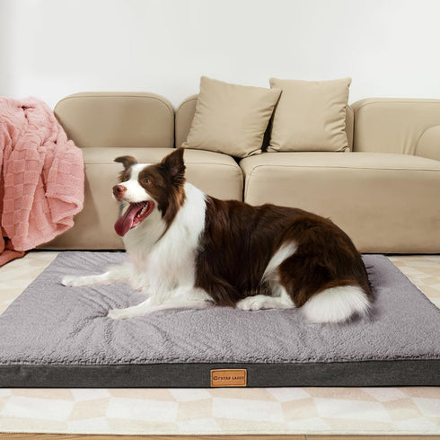 Patas Lague Orthopedic XXL Dog Bed, 48''X30'', Egg Crate Foam, Waterproof Removable Washable Cover, Big Large Dog Bed,