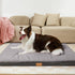 Patas Lague Orthopedic XXL Dog Bed, 48''X30'', Egg Crate Foam, Waterproof Removable Washable Cover, Big Large Dog Bed,
