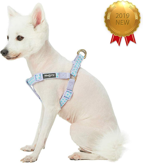 Blueberry Pet 4 Patterns Step-in Velvety Polka Dot Flocking Dog Harness, Pastel Purple, Chest Girth 20" - 26", Medium,