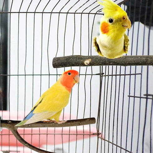 EBaokuup Bird Parrot Perch Set, 10PCS Natural Wood Stand for Budgies, Cockatiels, Conure