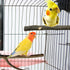 EBaokuup Bird Parrot Perch Set, 10PCS Natural Wood Stand for Budgies, Cockatiels, Conure