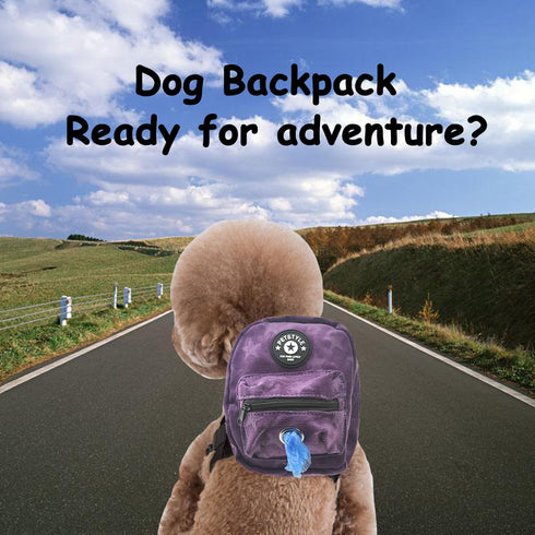 FLAdorepet Dog Backpack Harness with Leash, Adjustable Travel Hiking Walking Harness Backpack for Small Medium Dogs (L: