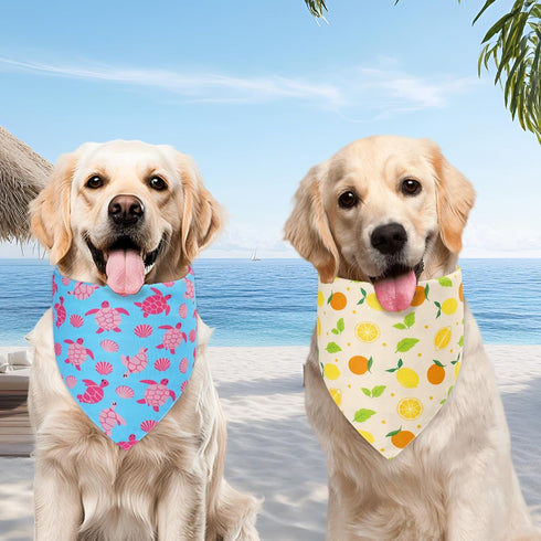 Agroon Summer 2PCS, 4 Dog Bandanas XLarge Pattern Blue Pink Yellow Scarf for Boy and Girl, Triangle Reversible Bibs