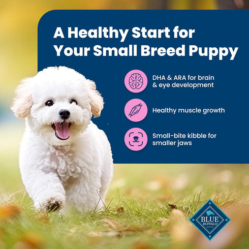 Blue Buffalo Life Protection Formula Small Breed Puppy Dry Dog Food, Chicken & Oatmeal Recipe, 5-lb. Bag with DHA