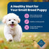 Blue Buffalo Life Protection Formula Small Breed Puppy Dry Dog Food, Chicken & Oatmeal Recipe, 5-lb. Bag with DHA