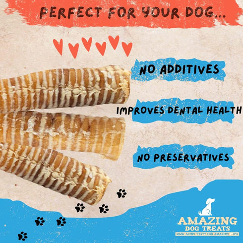 12 Inch (10 100% Amazing Dog Treats - Beef Trachea Chews for Dogs pcs/pk) - Natural Trachea Dog Treats - Excellent