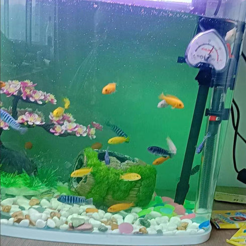 Fish Tank Accessories Decorations, Aquarium Hideout Cave for Betta, Fish Tank Ornament 3.5" by TANOMA