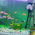 Fish Tank Accessories Decorations, Aquarium Hideout Cave for Betta, Fish Tank Ornament 3.5" by TANOMA