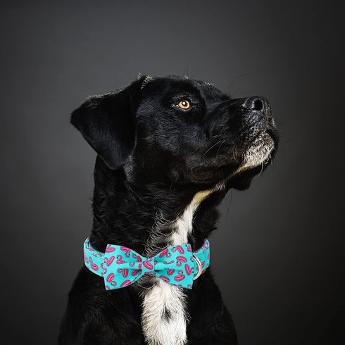 Dog Collars with Bow Tie, Green Flamingo Dog Collar with Safety Metal Buckle, Adjustable for Small Medium Large Dogs,