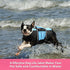 Queenmore Small Dog Life Jacket - Adjustable Pet Life Vest for Small and Medium Dogs, High Buoyancy, Rescue Handle