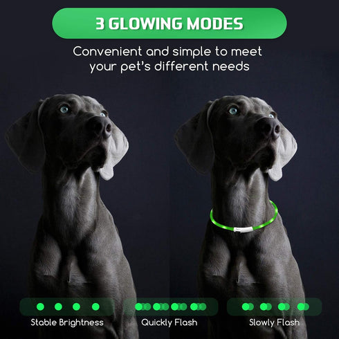 Weewooday 5 Pcs Light Up Dog Collars, Silicone LED Lighted for Night Walking, Rechargeable Glow in The Dark Safety